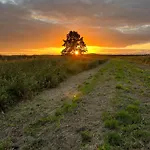 Słowińska łąka * Lokciowe