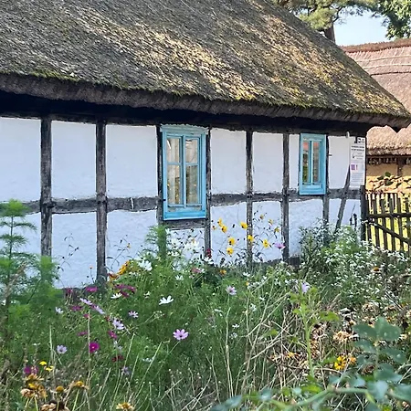 Słowińska łąka * Lokciowe