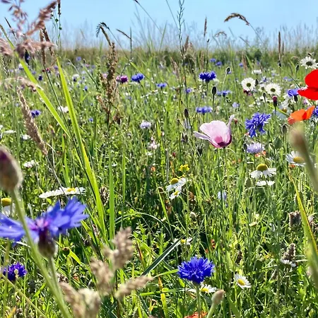 Slowinska Laka Ferienhaus Lokciowe