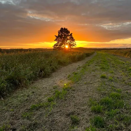 Slowinska Laka * Lokciowe