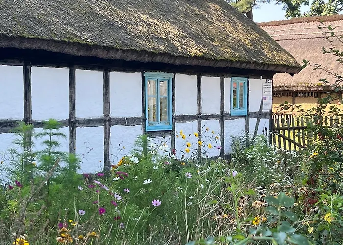 Slowinska Laka * Lokciowe