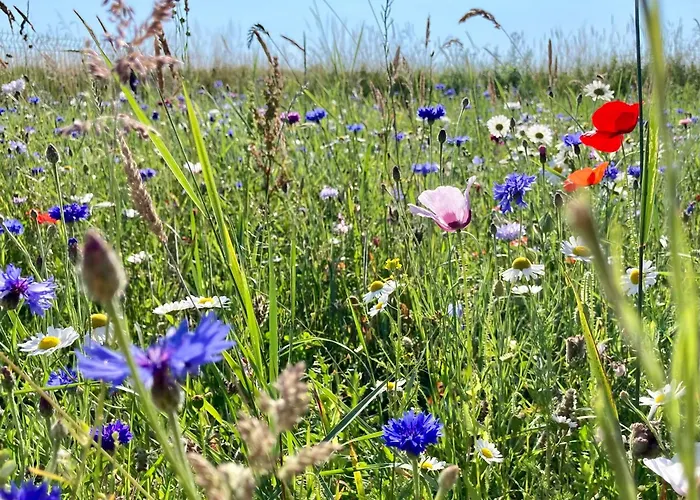 Slowinska Laka Сasa de vacaciones Lokciowe