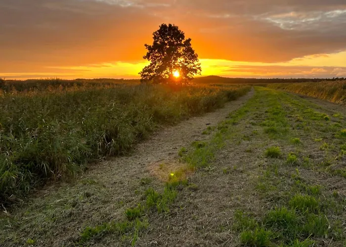 Slowinska Laka * Lokciowe