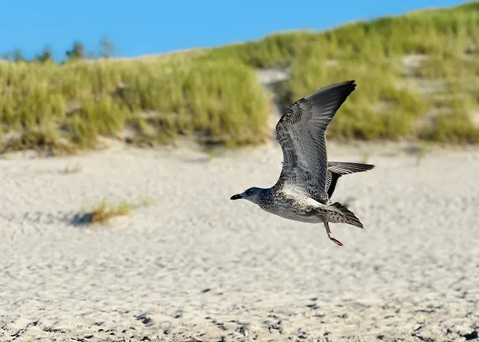 Slowinska Laka Сasa de vacaciones *
